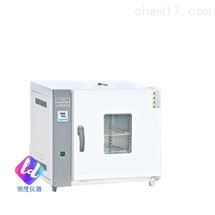 101-0A/101-0AB 101-1A101系列电热鼓风干燥箱