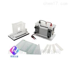 JY-SCZ8型垂直电泳槽