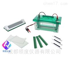 JY-CZ-B型垂直电泳槽