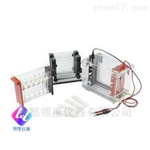 JY-SX3双向电泳槽