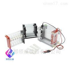 JY-SX3双向电泳槽