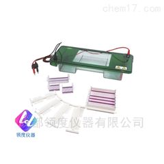 JY-SPDT型水平电泳槽