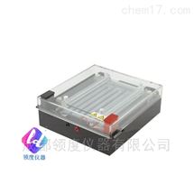 JY-DD1型等电聚焦电泳