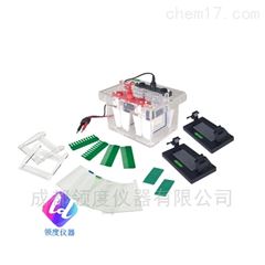 JY-SCZ4+型垂直电泳槽