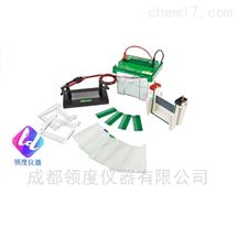 JY-SCZ2+型垂直电泳槽