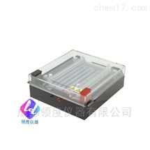 JY-DD2型等电聚焦电泳