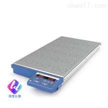 RT 15 多点磁力搅拌器