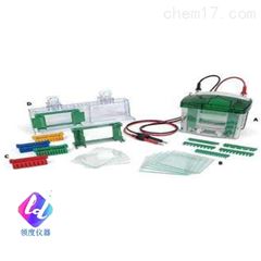 WideMini-SubCellGTSystem,with伯乐电泳仪